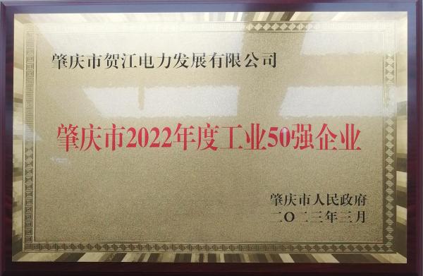 工業(yè)50強(qiáng)牌匾1.jpg
