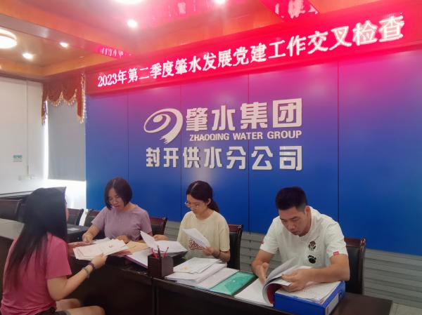 1.圖為在封開供水分公司黨支部檢查黨建工作。.jpg